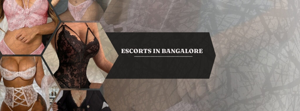 You Will Get Best Pleasure From Escorts in Bangalore